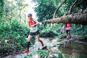 BIB: 
                            <button type="button" onclick="openModal(25433607)" class="btn btn-primary btn-sm float-right btn-popup" data-toggle="modal" data-target=".modal-high-quality">
                        <i class="fas fa-shopping-cart"></i> Add to Cart
                    </button>
                                            <button type="button" onclick="isThisMe(25433607, true)" class="btn btn-success btn-sm float-right btn-popup btn-isme hidden" data-toggle="tooltip" data-placement="bottom" title="นี่คือรูปของคุณใช่ไหม คลิกที่นี่เพื่อเอาเข้าอัลบั้ม">
                        <i class="fas fa-plus"></i> Add to album
                    </button>
                    <button type="button" onclick="isThisMe(25433607, false)" class="btn btn-warning btn-sm float-right btn-popup btn-isnotme hidden">
                        <i class="fas fa-ban"></i> Remove from album
                    </button>